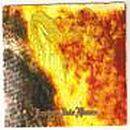 Baptized into Flames